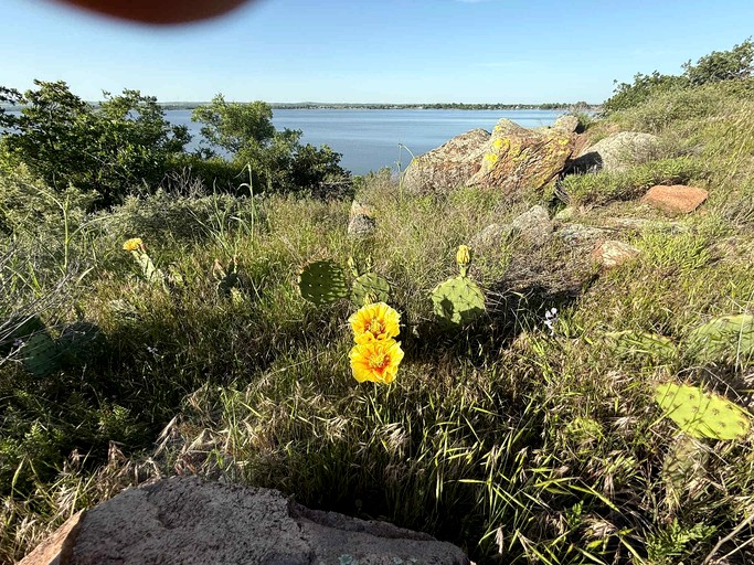 Vacation Rentals (United States of America, Medicine Park, Oklahoma)