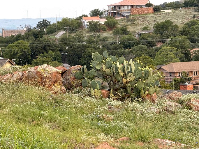 Vacation Rentals (United States of America, Medicine Park, Oklahoma)