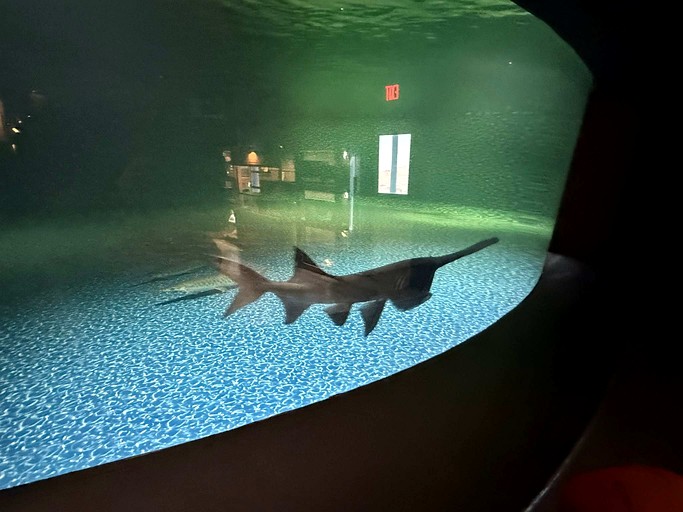 Vacation Rentals (United States of America, Medicine Park, Oklahoma)