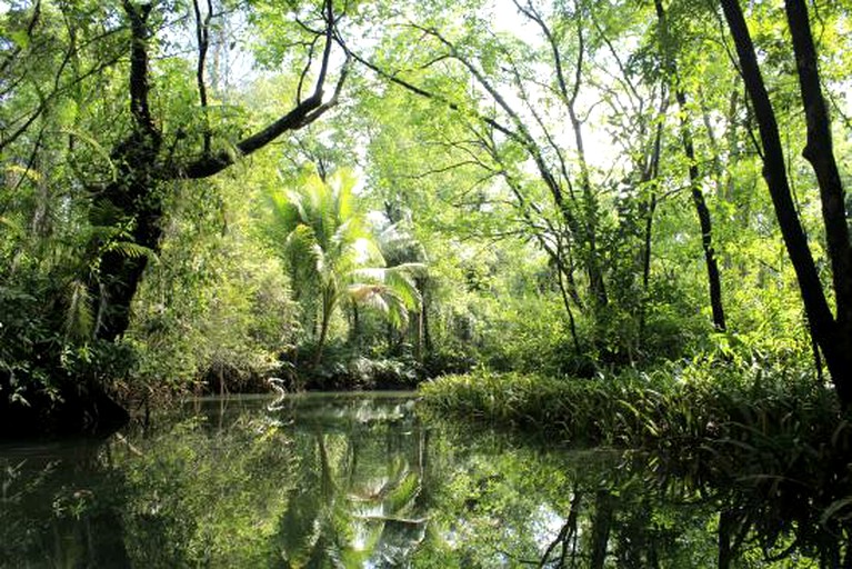 Cabins (El Castillo, Río San Juan, Nicaragua)