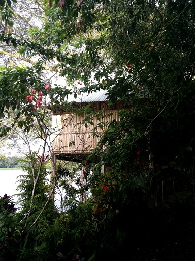 Tree Houses (El Castillo, Río San Juan, Nicaragua)