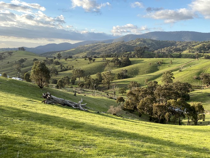 Vacation Rentals (Australia, --, --)