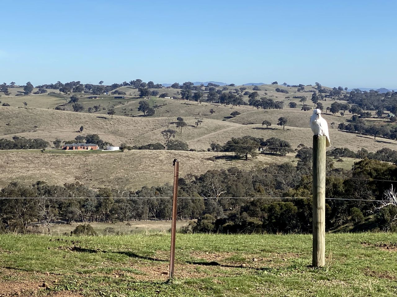 Off Grid Tiny House Glamping on a Victoria Horse Farm