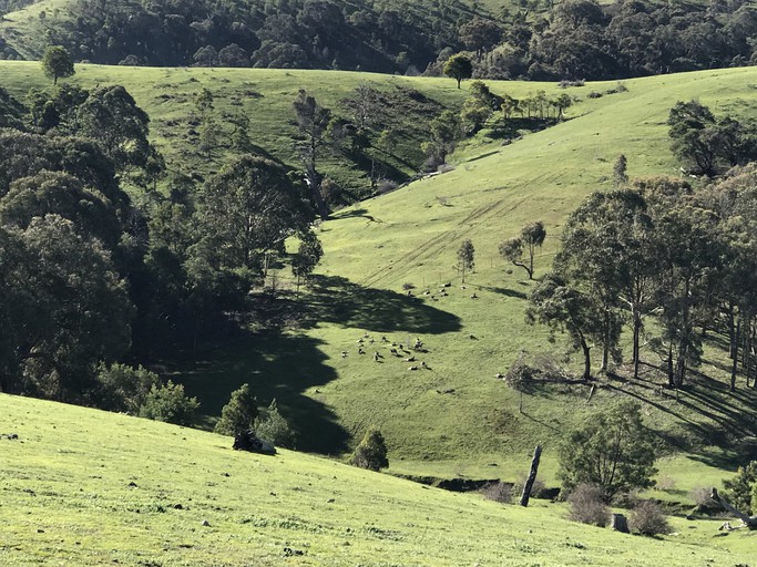 Vacation Rentals (Australia, --, --)