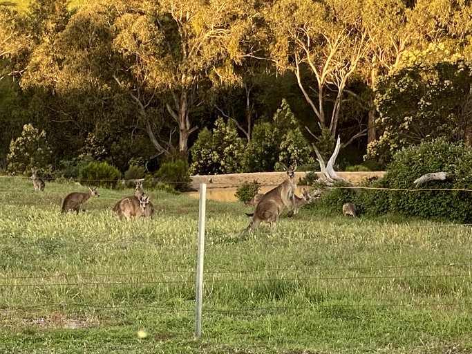 Vacation Rentals (Australia, --, --)