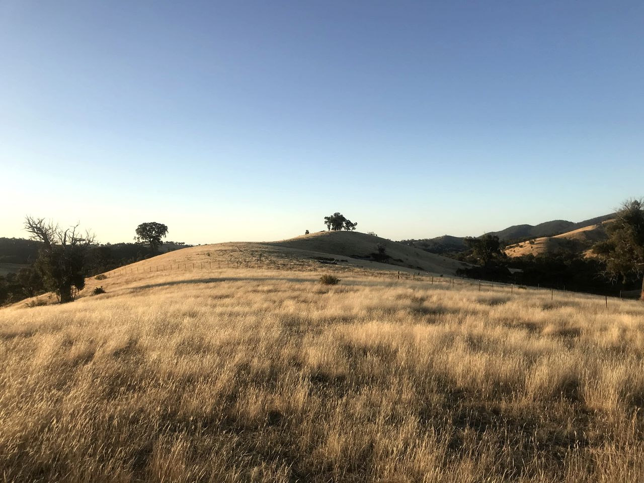 Off Grid Tiny House Glamping on a Victoria Horse Farm