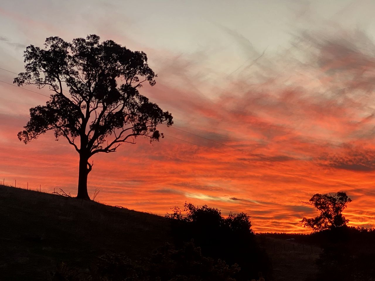 Off Grid Tiny House Glamping on a Victoria Horse Farm
