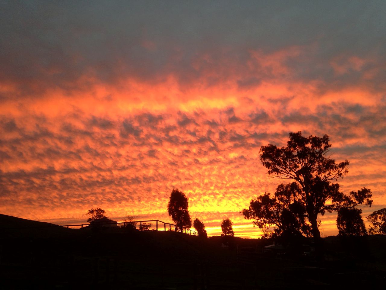 Off Grid Tiny House Glamping on a Victoria Horse Farm