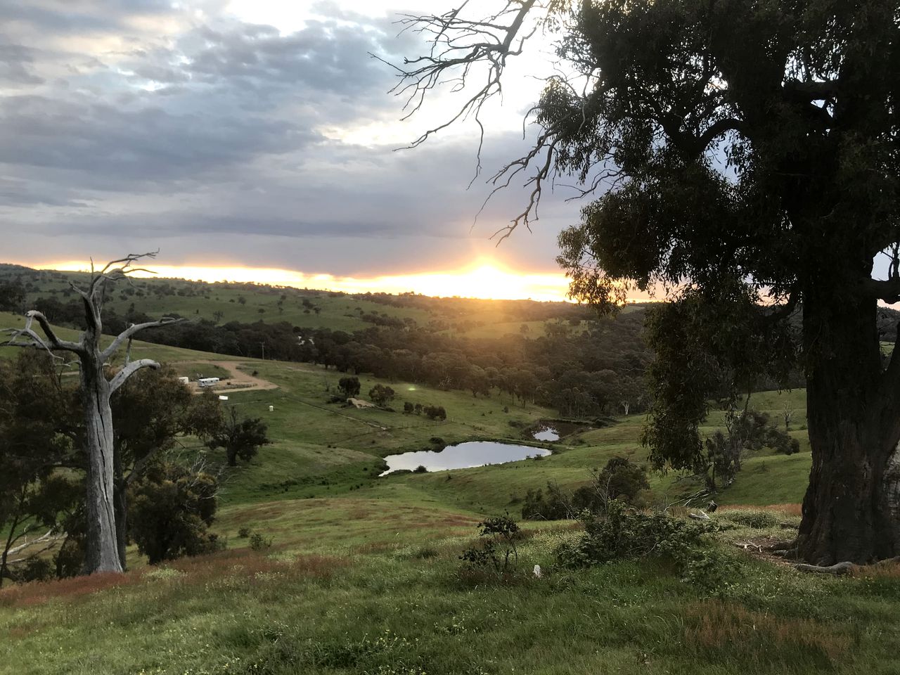 Off Grid Tiny House Glamping on a Victoria Horse Farm