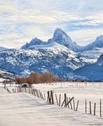 Cabins (United States of America, Driggs, Idaho)
