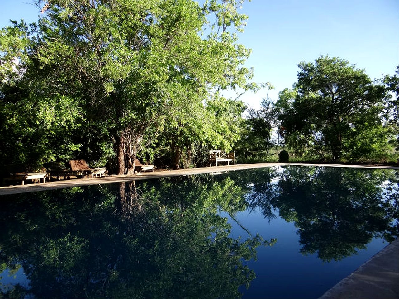 Safari-Style Tents near Meru National Park in Kenya