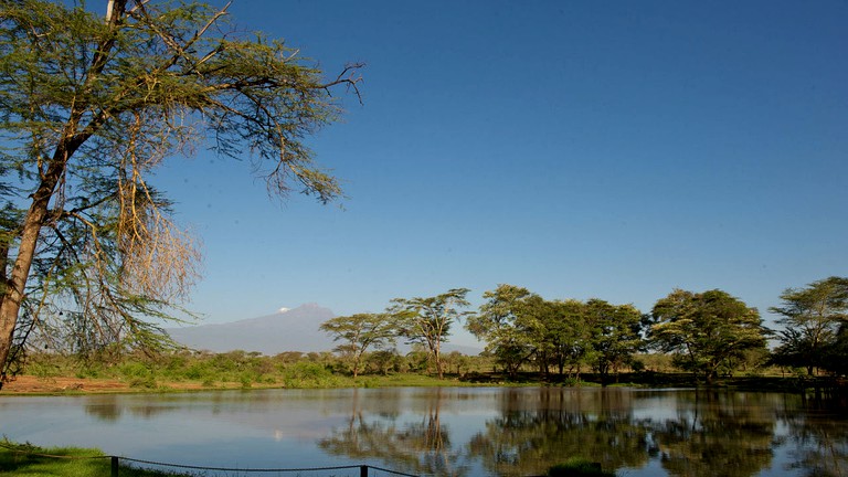 Safari Tents (Talek, Narok, Kenya)