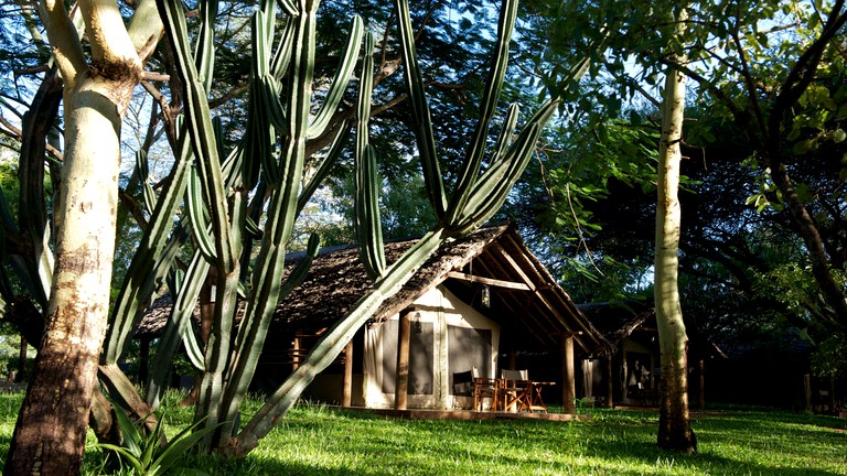 Safari Tents (Talek, Narok, Kenya)