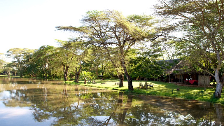 Safari Tents (Talek, Narok, Kenya)