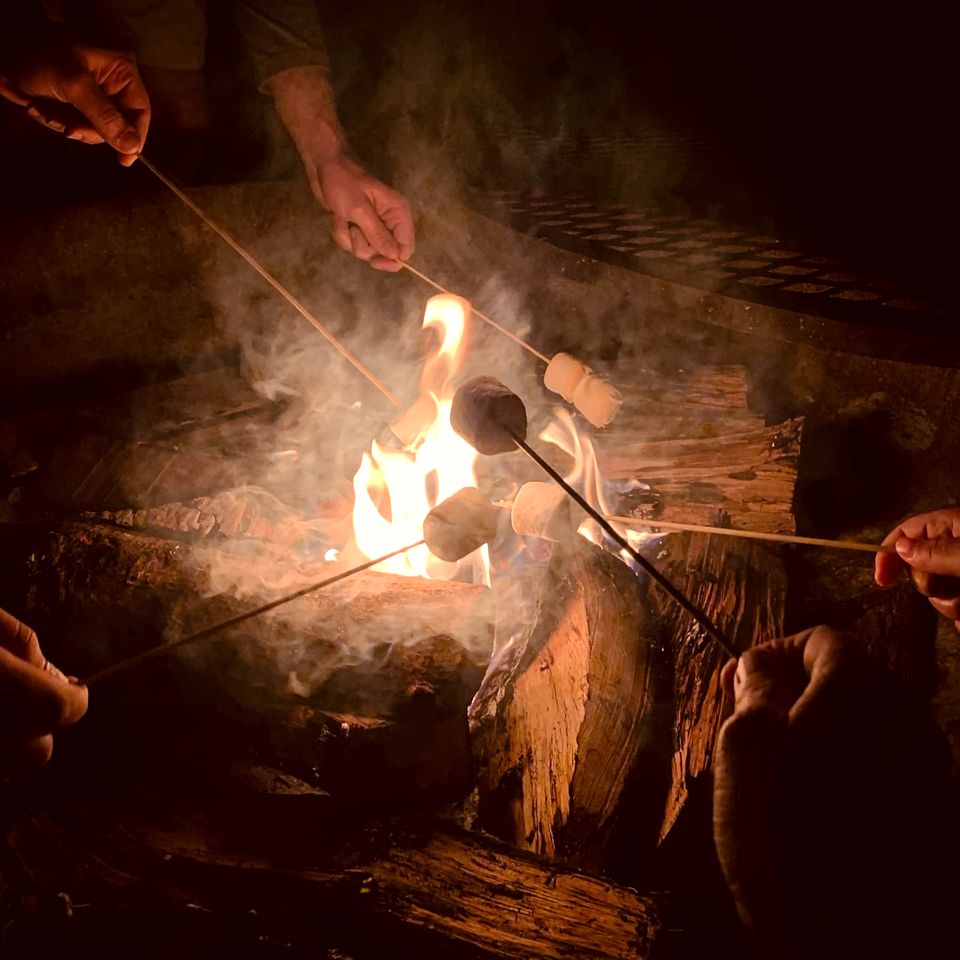 Safari Tent Glamping Dreams Come True: Stay in Cibolo, Texas