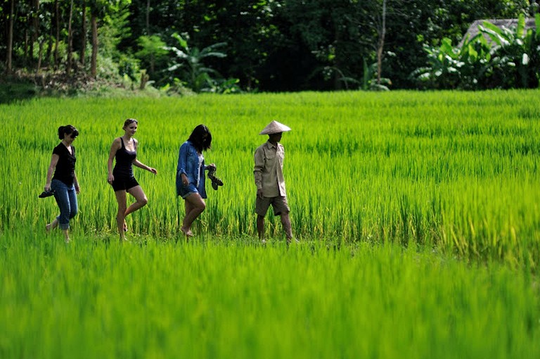 Tented Cabins (Luang Prabang, Luang Prabang, Laos)
