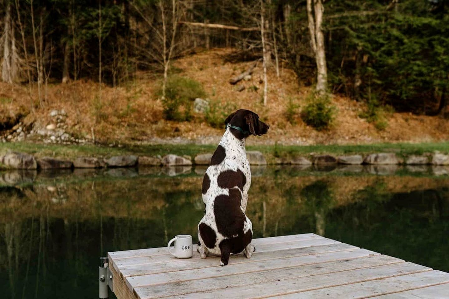 Gorgeous Cedar Tiny House for a Unique Pet-Friendly Getaway in Chester, Vermont