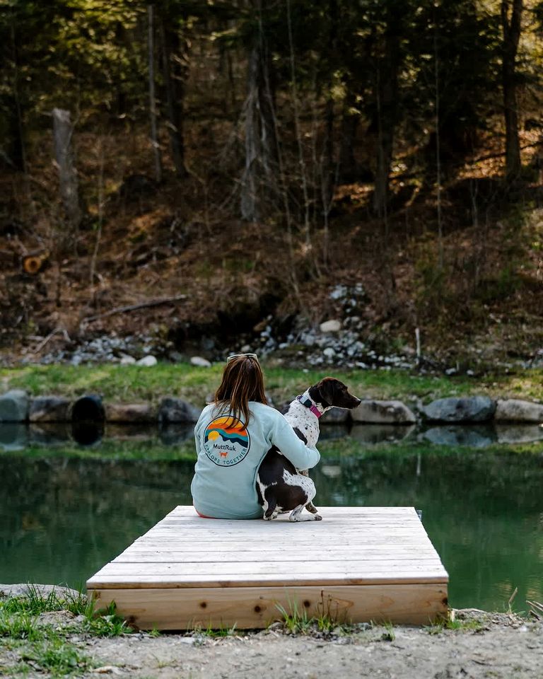Gorgeous Cedar Tiny House for a Unique Pet-Friendly Getaway in Chester, Vermont