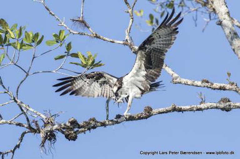 Cabins (Golfito, Puntarenas, Costa Rica)