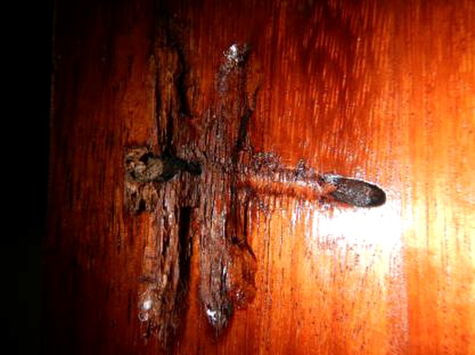 Cabins (Golfito, Puntarenas, Costa Rica)