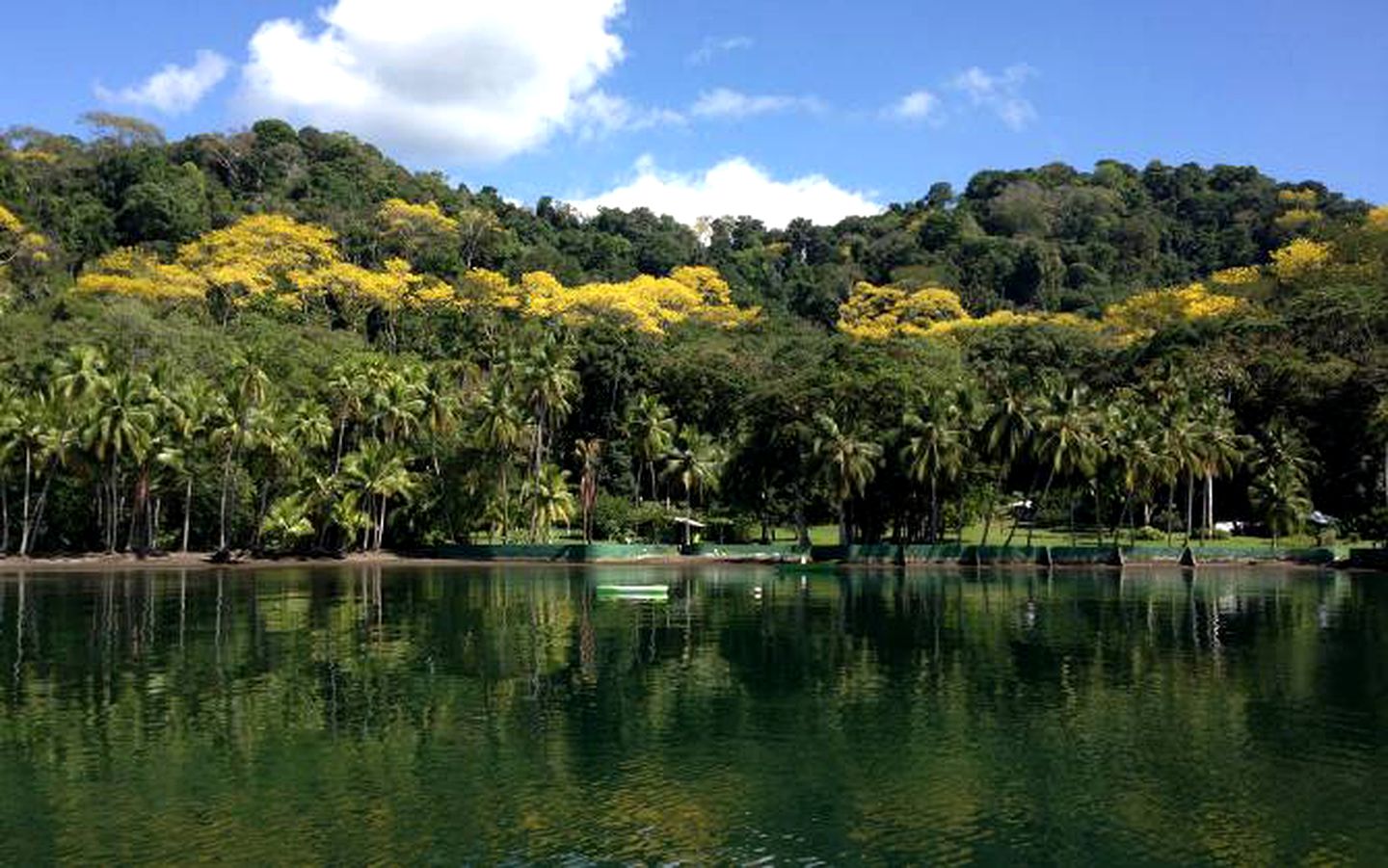 Rural Lodge with Stunning Private Patio in Golfito, Costa Rica