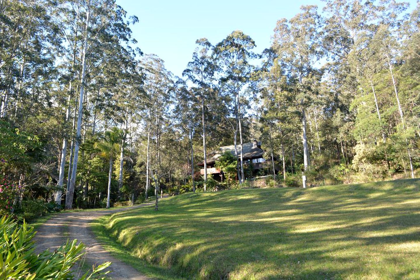 Rustic Cabin Rental for a Family Getaway in Salisbury, New South Wales