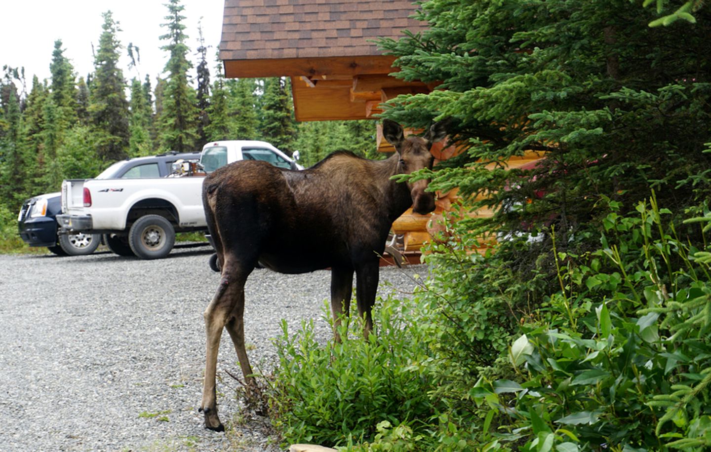 Gorgeous Family-Friendly Cabin with Private Jacuzzi in Kenai, Alaska