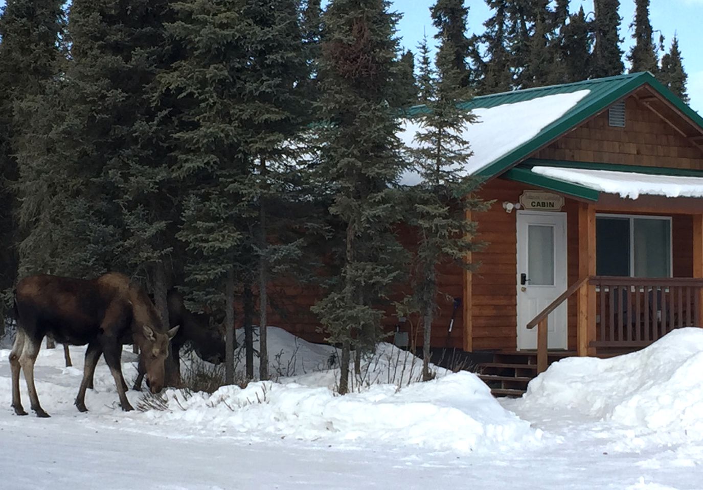 Gorgeous Romantic Cabin Rental with Private Porch near Ridgeway, Alaska