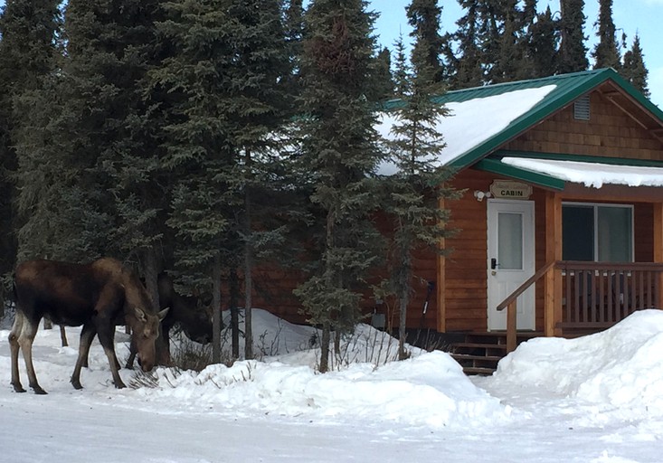 Cabins (Kenai, Alaska, United States)