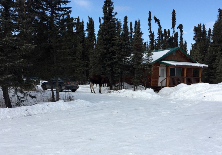 Cabins (Kenai, Alaska, United States)