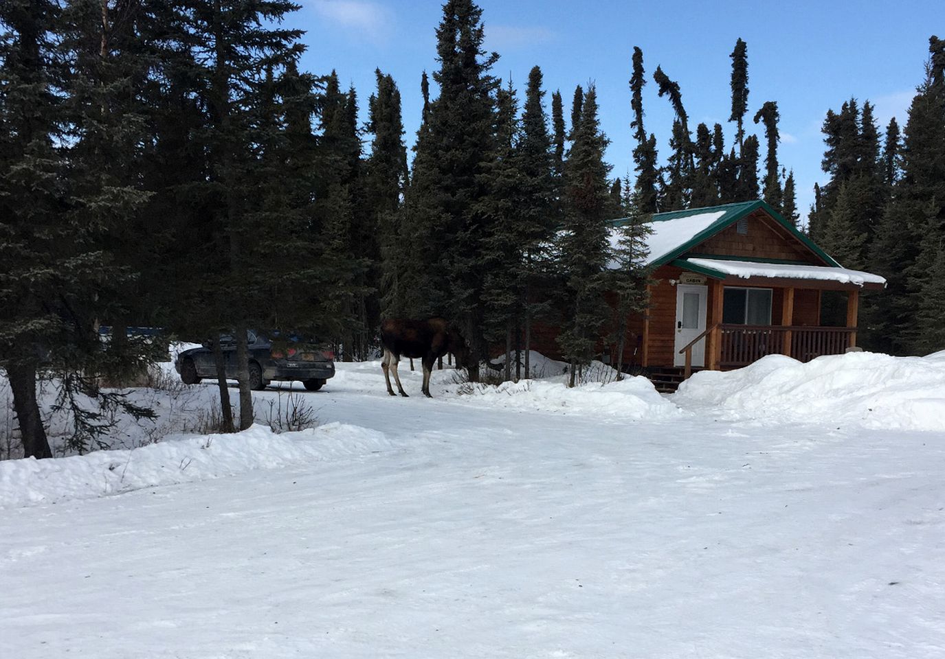 Gorgeous Romantic Cabin Rental with Private Porch near Ridgeway, Alaska