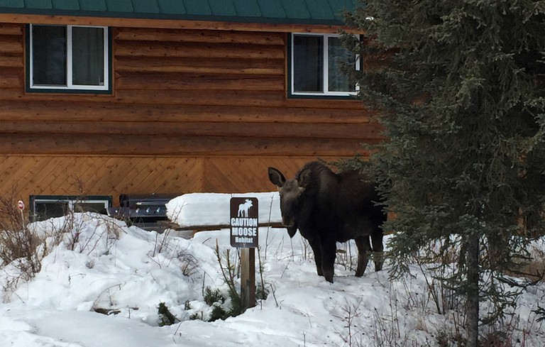 Nature Lodges (Kenai, Alaska, United States)