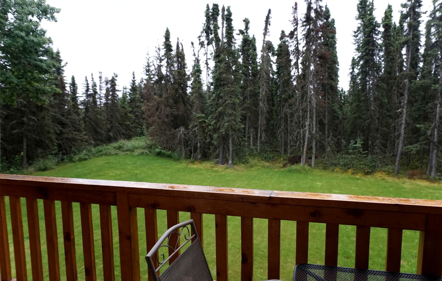 Amazing Fishing Getaway with Free Wi-Fi near Cook's Inlet, Alaska