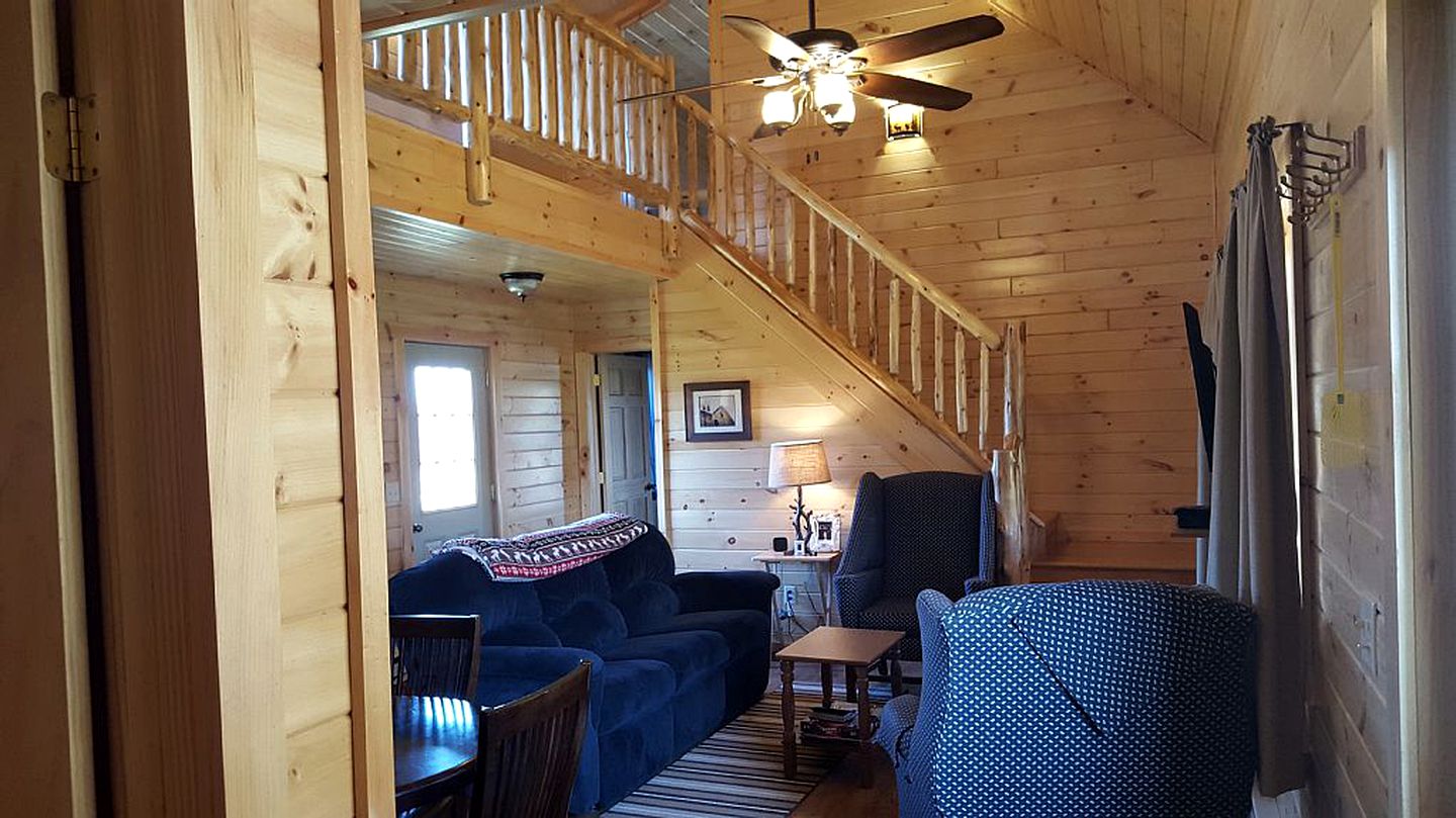 Rural Log Cabin Rental with Barbecue near Salmon River, New York