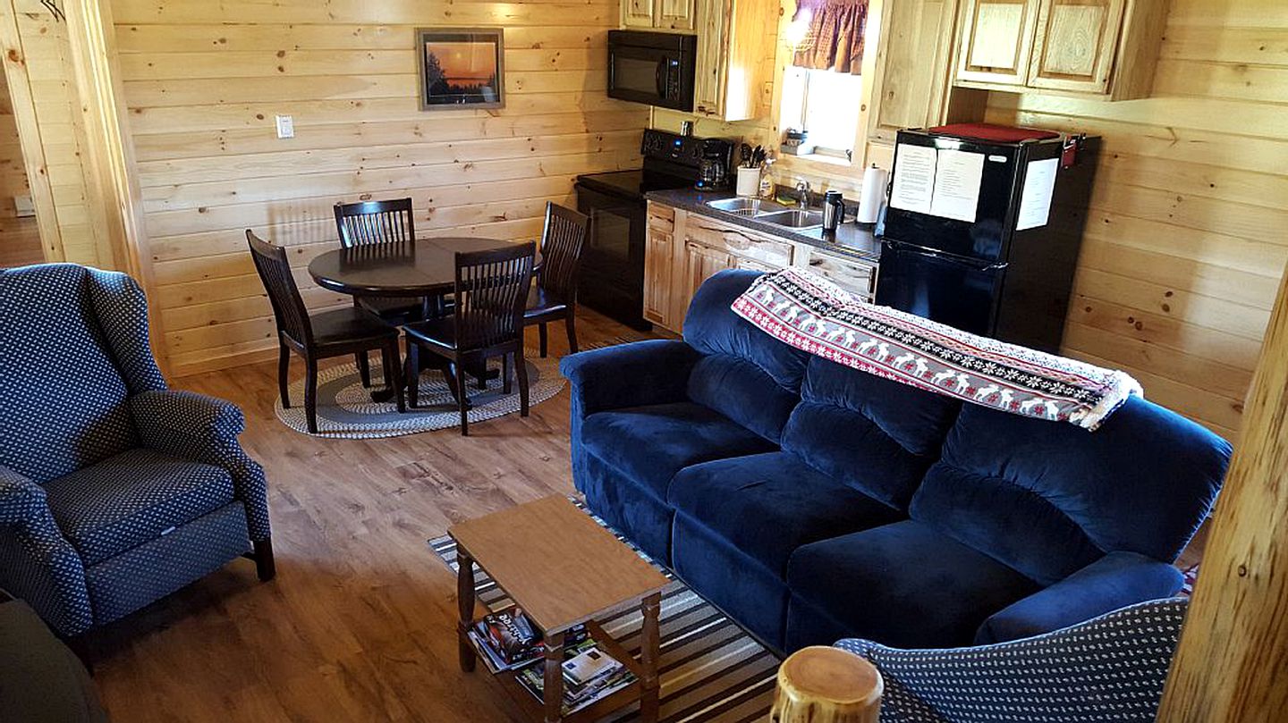 Rural Log Cabin Rental with Barbecue near Salmon River, New York