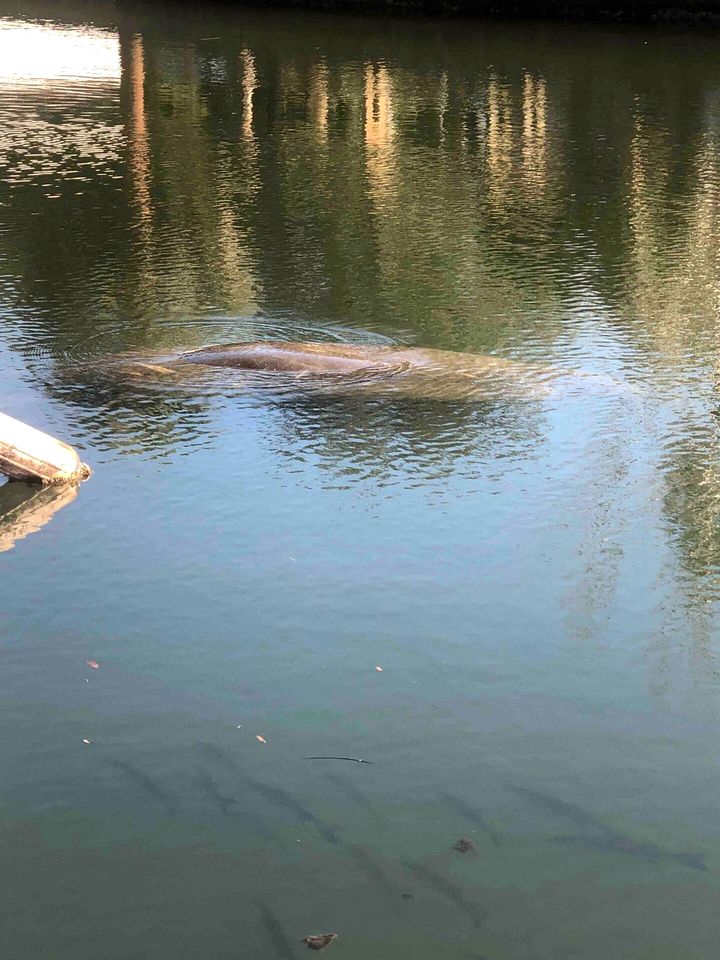 Beautiful Cottage with Stunning Views in Weeki Wachee, Florida
