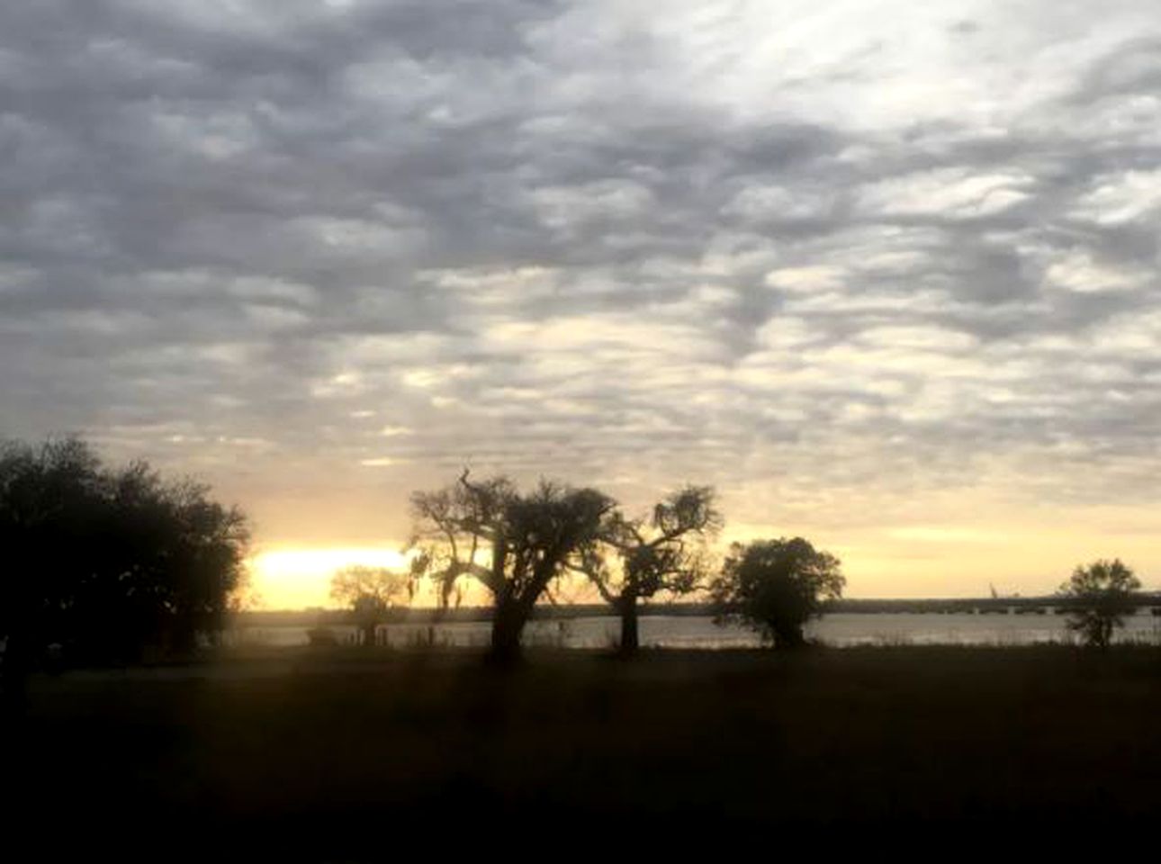 Spacious Pet-Friendly Cottage with Sensational Views on the Pascagoula River, Mississippi