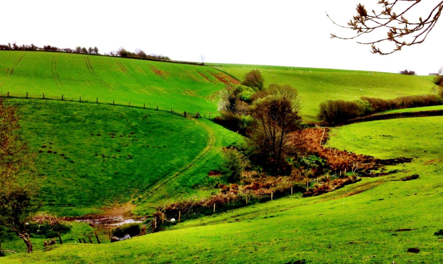 Romantic Getaway in a 400-Year-Old Farmhouse in South Molton in Devon, England