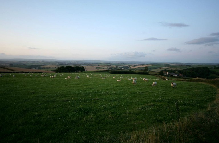 Nature Lodges (South Molton, England, United Kingdom)