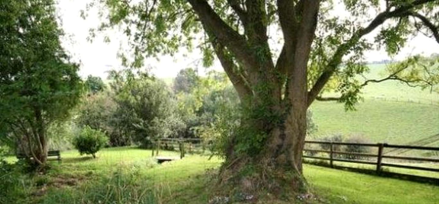 Elegant Vacation Rental in the Countryside near High Bickington in Devon, England