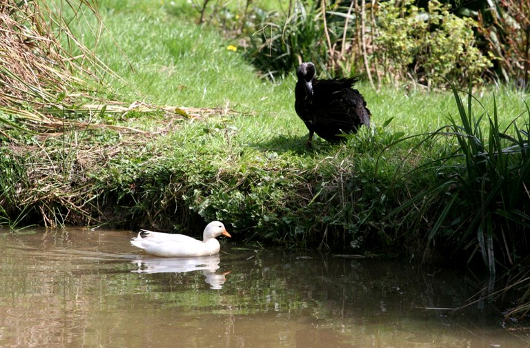 Nature Lodges (South Molton, England, United Kingdom)