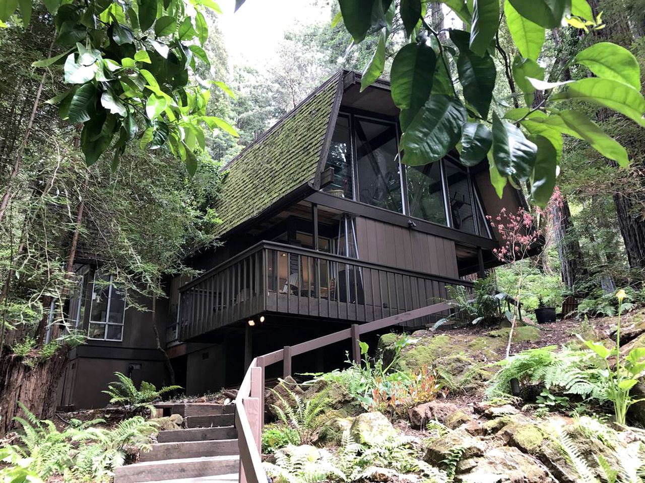 Nature Lodges (San Geronimo, California, United States)