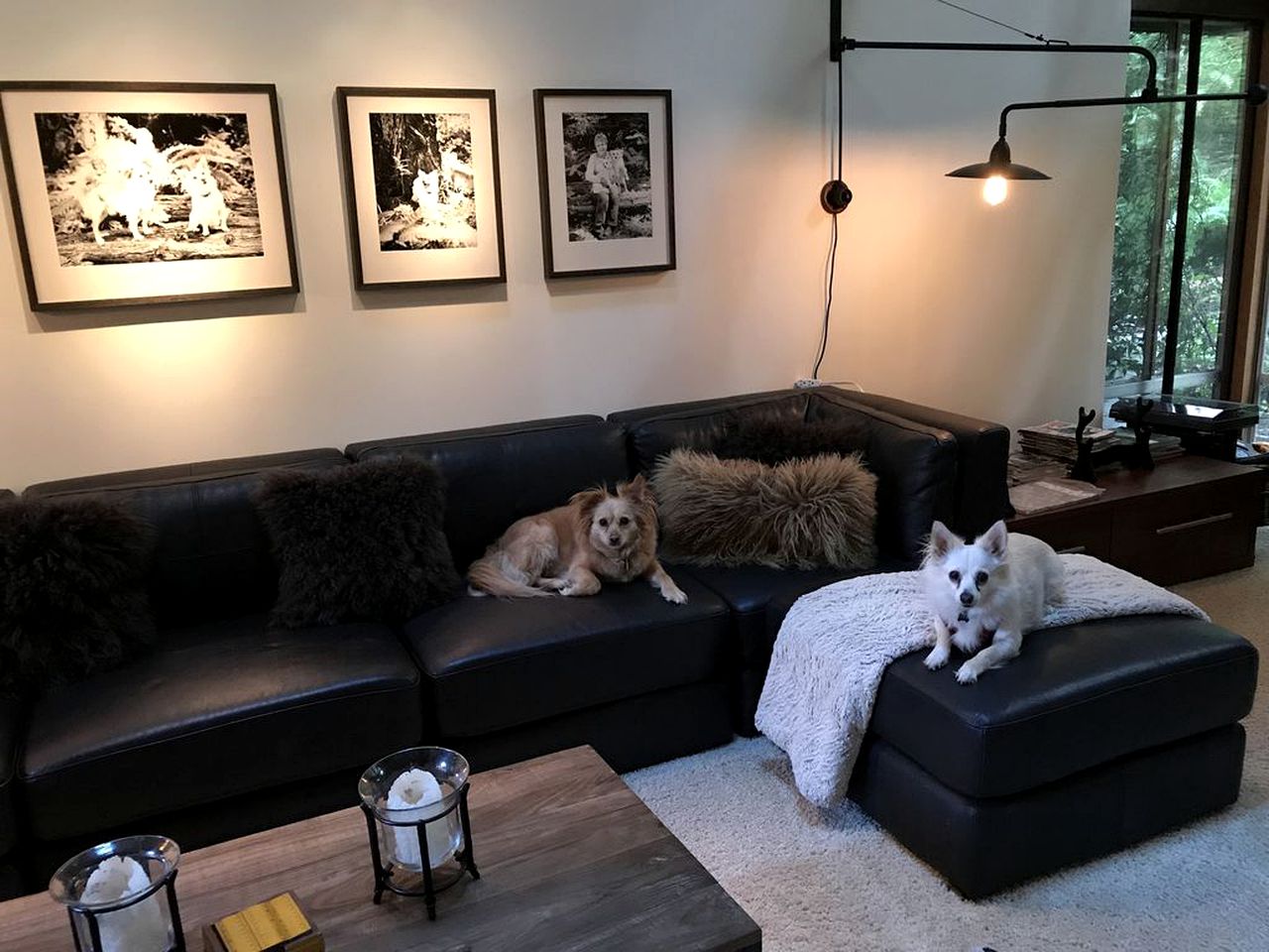 Charming Redwood Vacation Rental for Four in San Geronimo, California