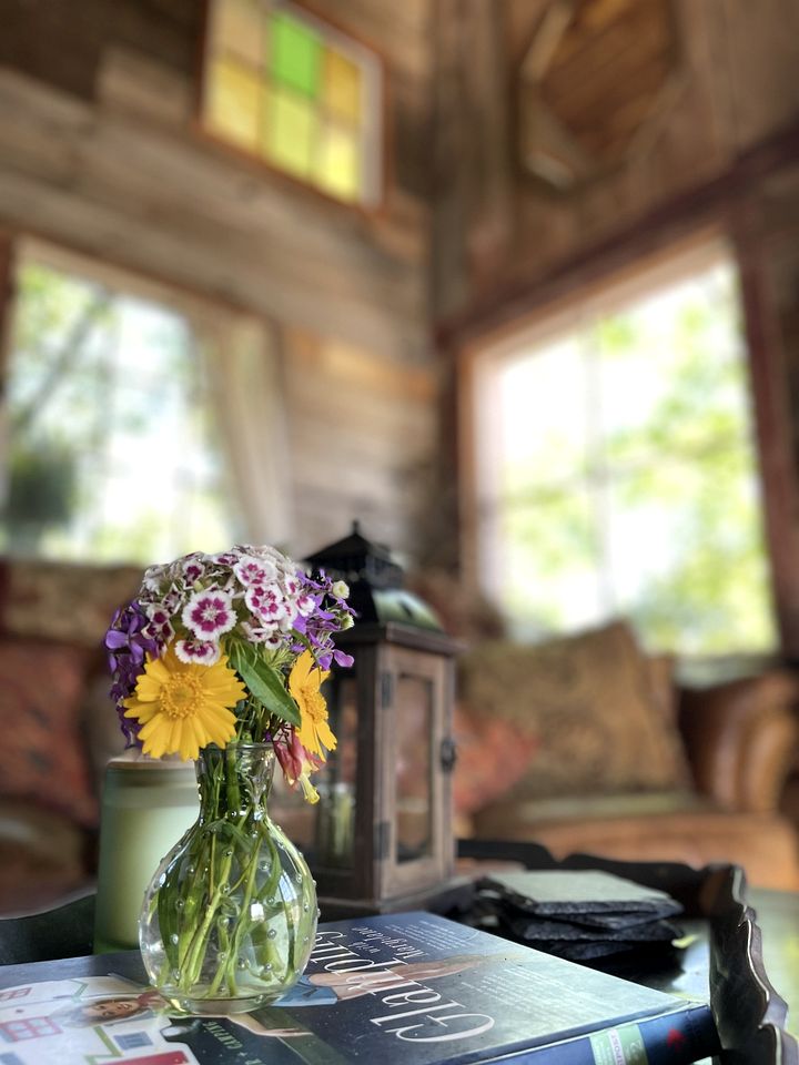 Light-Filled Lakeside Cabin with Private 15-Acre Spring-Fed Lake Near Downtown Excelsior Springs, Missouri