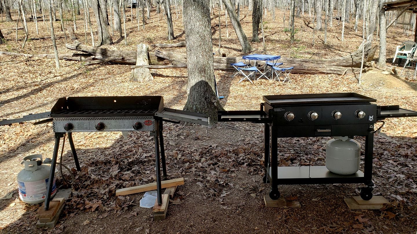 Radiant Forest Vacation Rental Haven Near Piney River, Tennessee