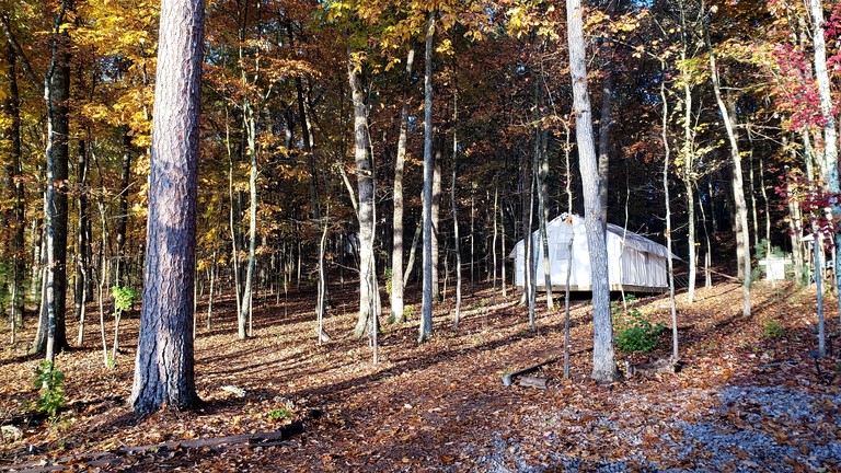 Vacation Rentals (United States of America, Grandview, Tennessee)