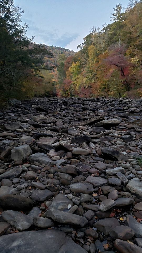 Radiant Forest Vacation Rental Haven Near Piney River, Tennessee