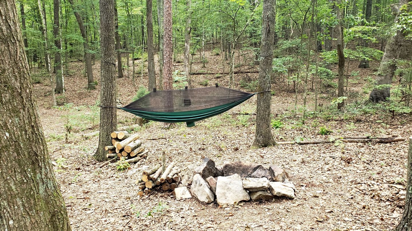 Radiant Forest Vacation Rental Haven Near Piney River, Tennessee