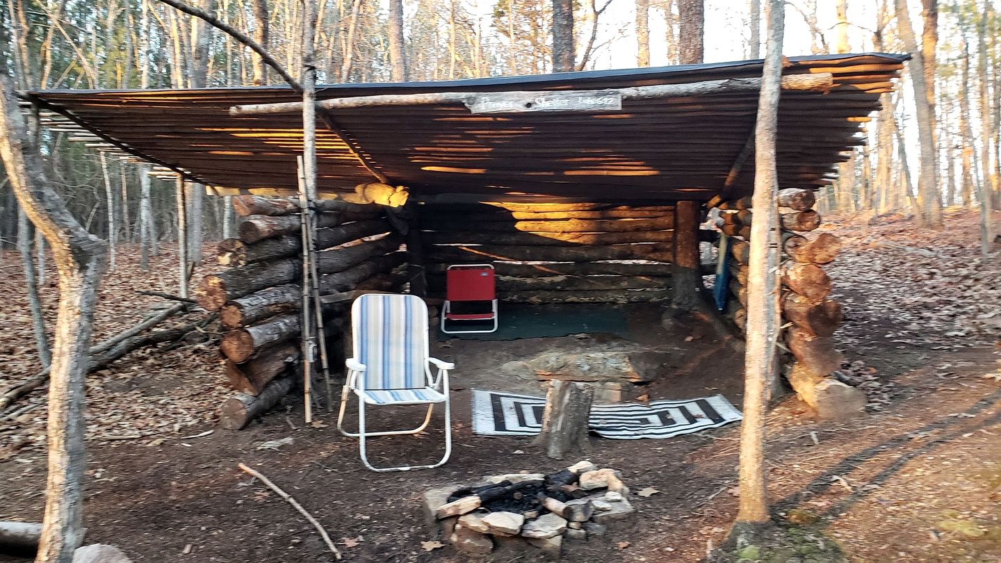 Radiant Forest Vacation Rental Haven Near Piney River, Tennessee