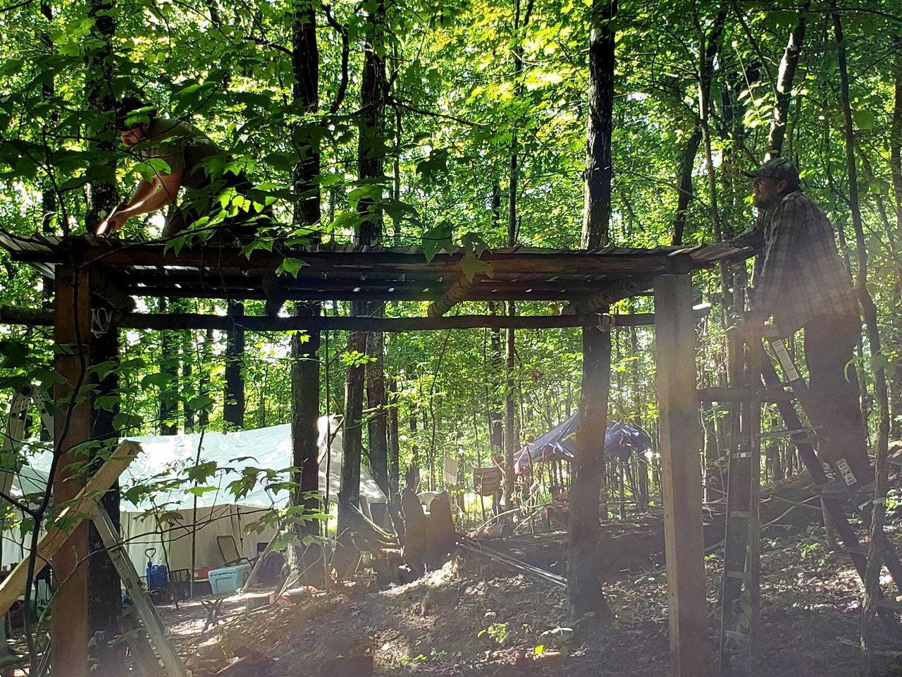 Radiant Forest Vacation Rental Haven Near Piney River, Tennessee